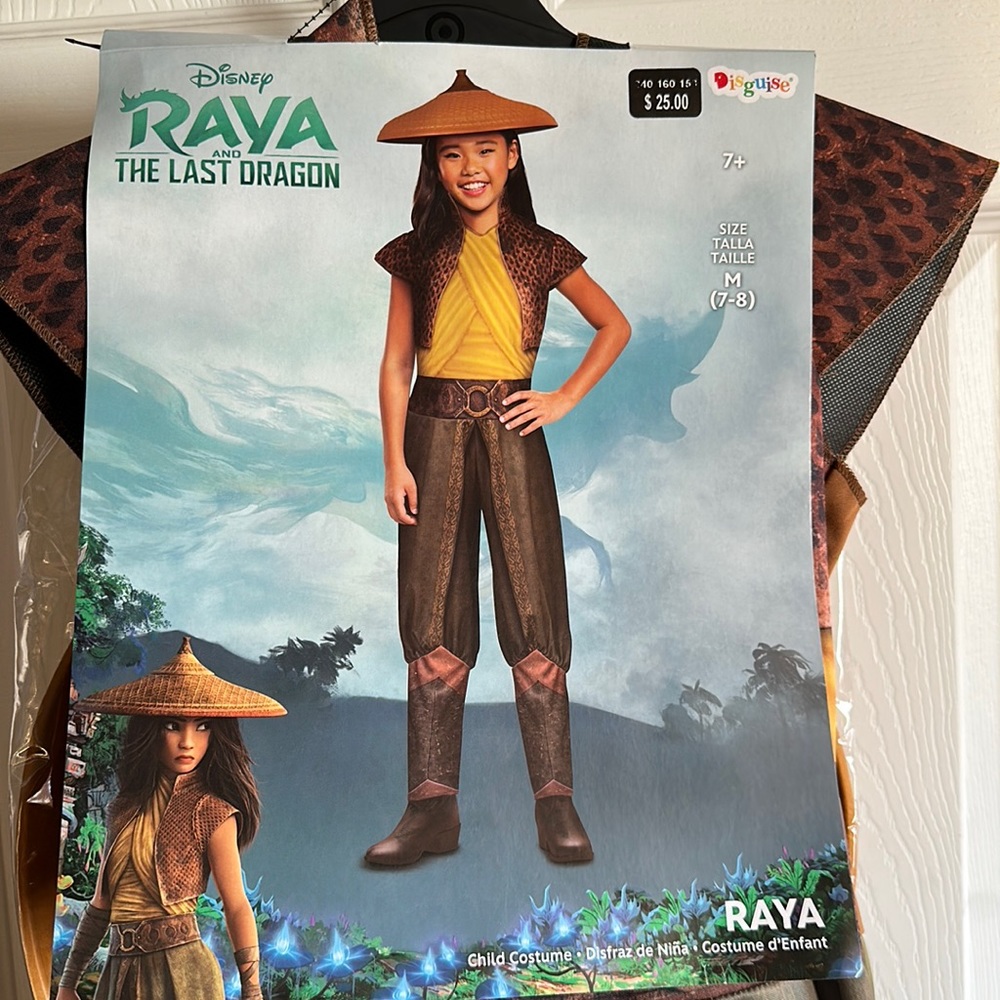 Disney Raya Costume - Picture 1 of 8